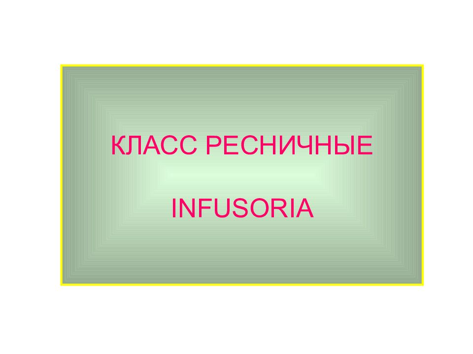 Медицинская протозоология презентация