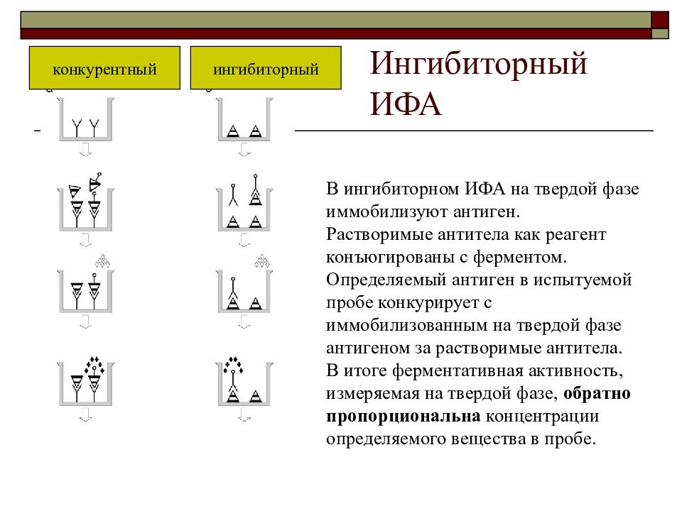 Сэндвич ифа схема