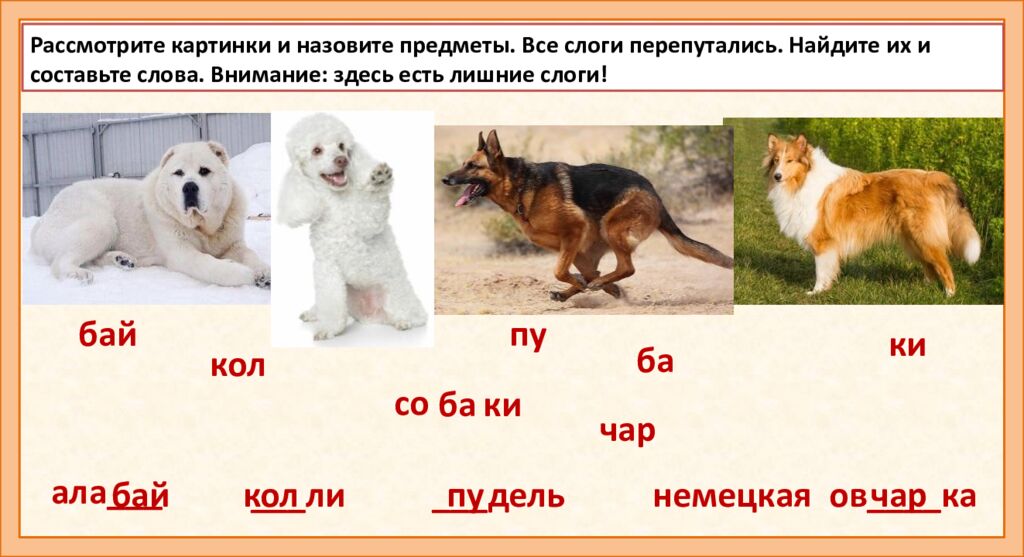РАЗВИТИЕ РЕЧИ И ЧТЕНИЕ ПО СЛОГАМ