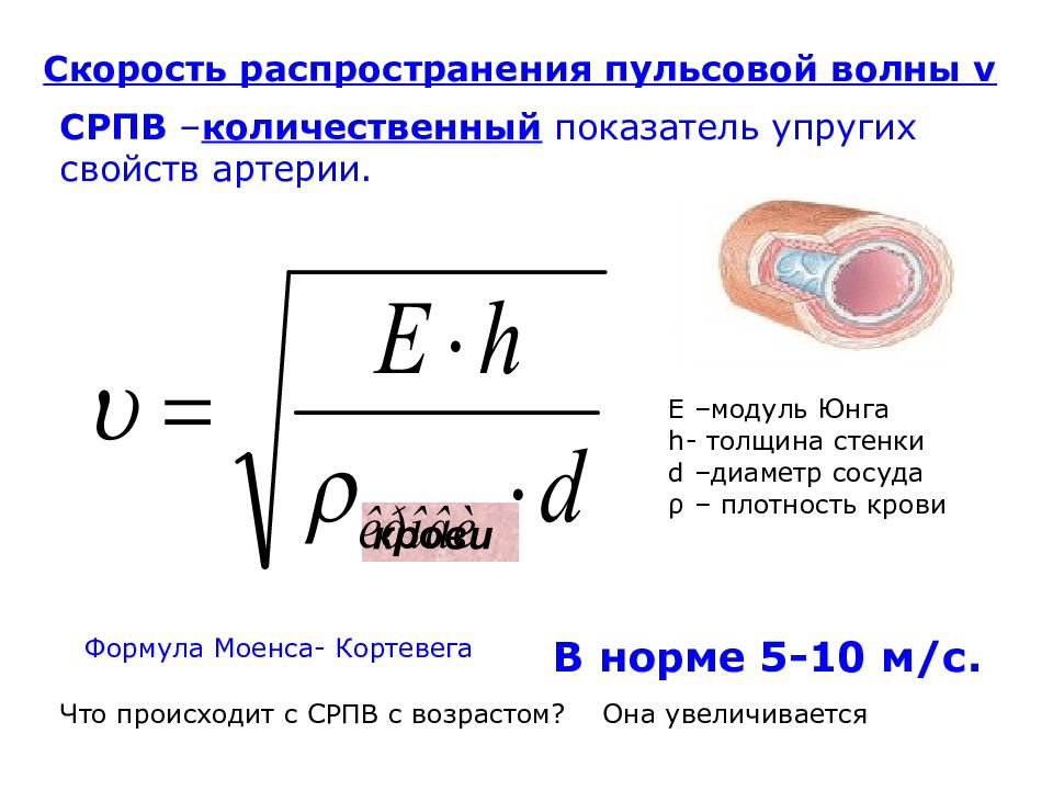 Скорость распространяется. Скорость пульсовой волны формула. Формула Моенса Кортевега скорость пульсовой волны. Формула Моенса Кортевега. Определение скорости пульсовой волны.