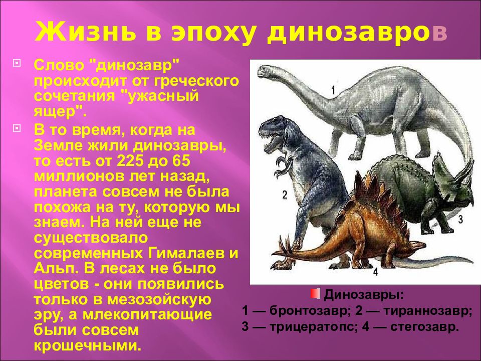 Развитие динозавров. Животные которые произошли от динозавров. От кого произошли динозавры. Когда жили динозавры на земле. Птицы произошли от динозавров.