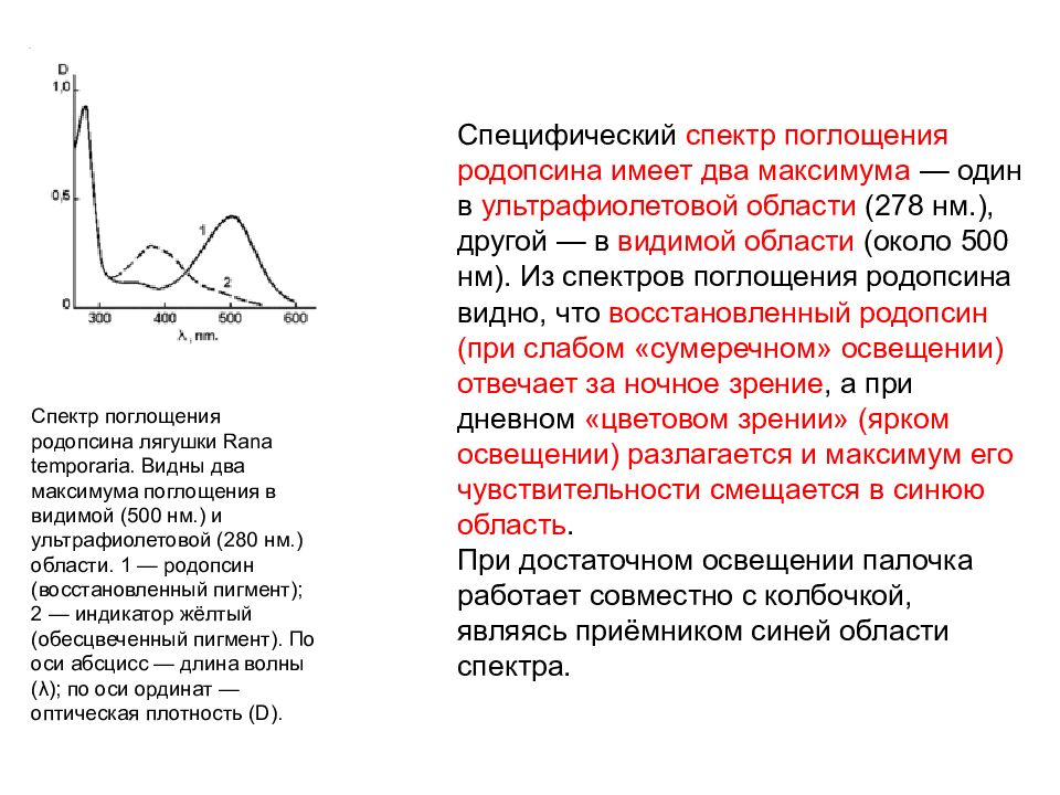 Диапазон максимум. Спектр поглощения родопсина. 5 Спектров поглощения. Спектры поглощения родопсина и иодопсинов. Максимум спектра поглощения.