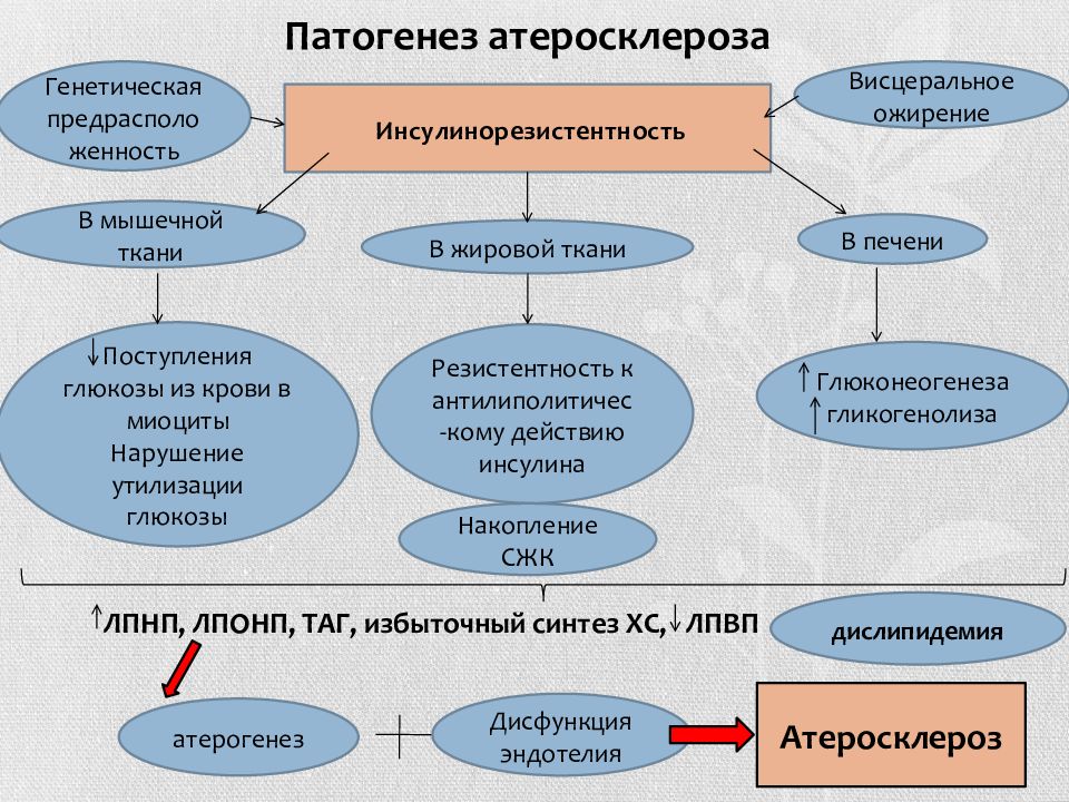 Метаболический синдром картинки для презентации