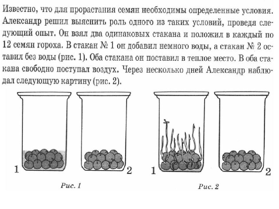 Рассмотрите рисунок в каком сосуде семена прорастут