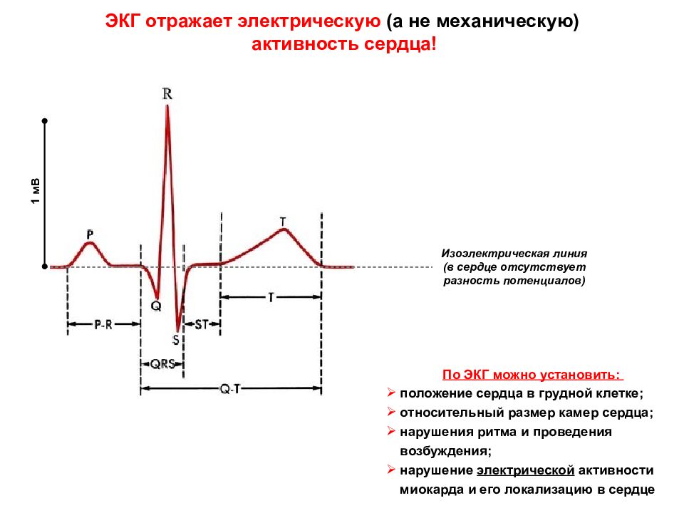 Повышение электрической. ЭКГ отражает электрическую активность. Электрическая активность предсердий ЭКГ. Электрокардиограмма сердца отражает электрическую активность. ЭКГ метод регистрации электрической активности сердца.