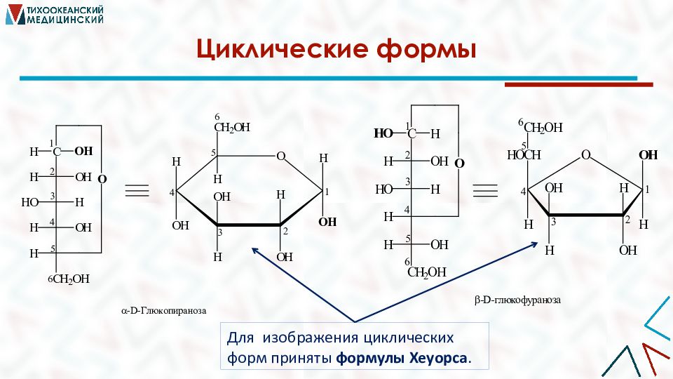 Примут формула. Галактоза формула Хеуорса. Формулы Фишера и Хеуорса для моносахаридов. Лактоза формула Хеуорса. Фруктоза формула Хеуорса.