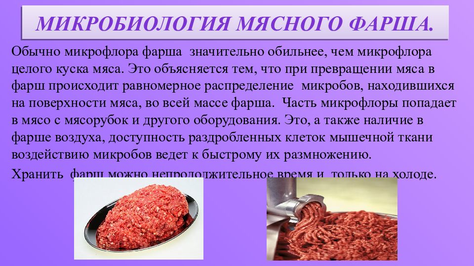 Микробиология продуктов питания презентация