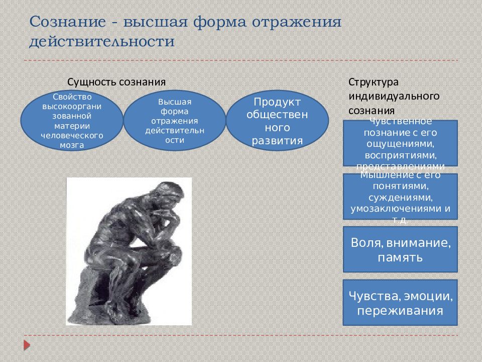 Философия предмет отражения. Сознание Высшая форма отражения действительности. Формы отражения действительности. Сознание как Высшая форма отражения философия. Действительность это в философии.