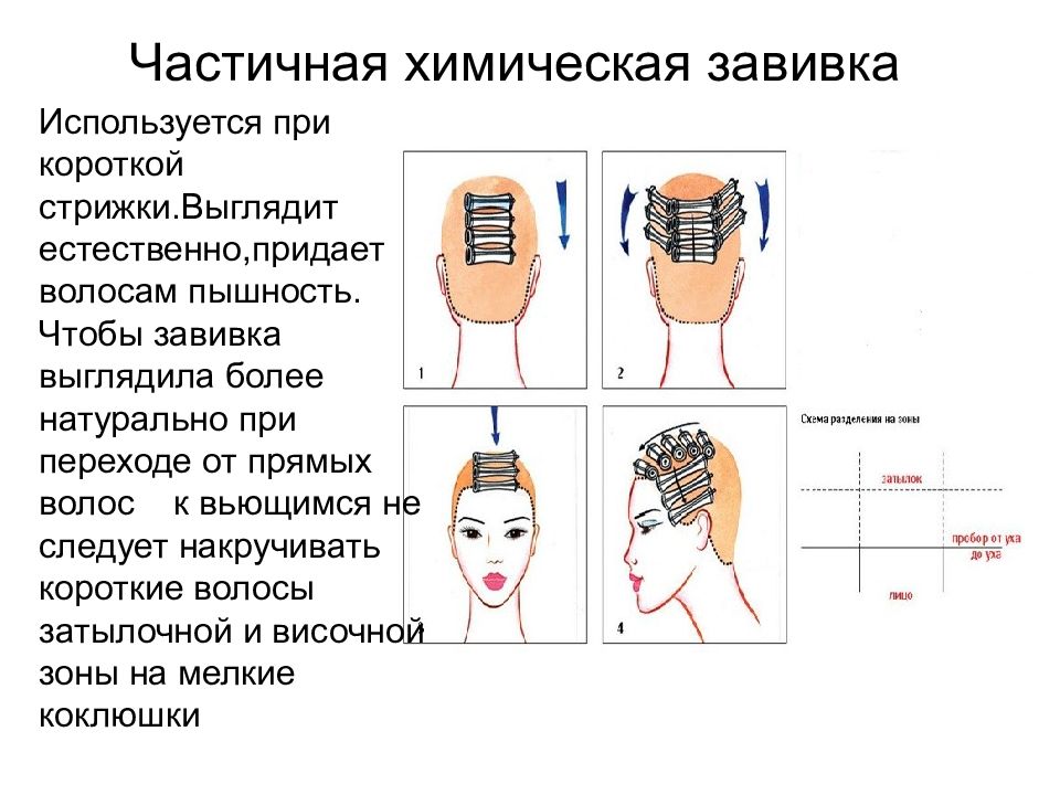 Схема накрутки волос на коклюшки для химической завивки