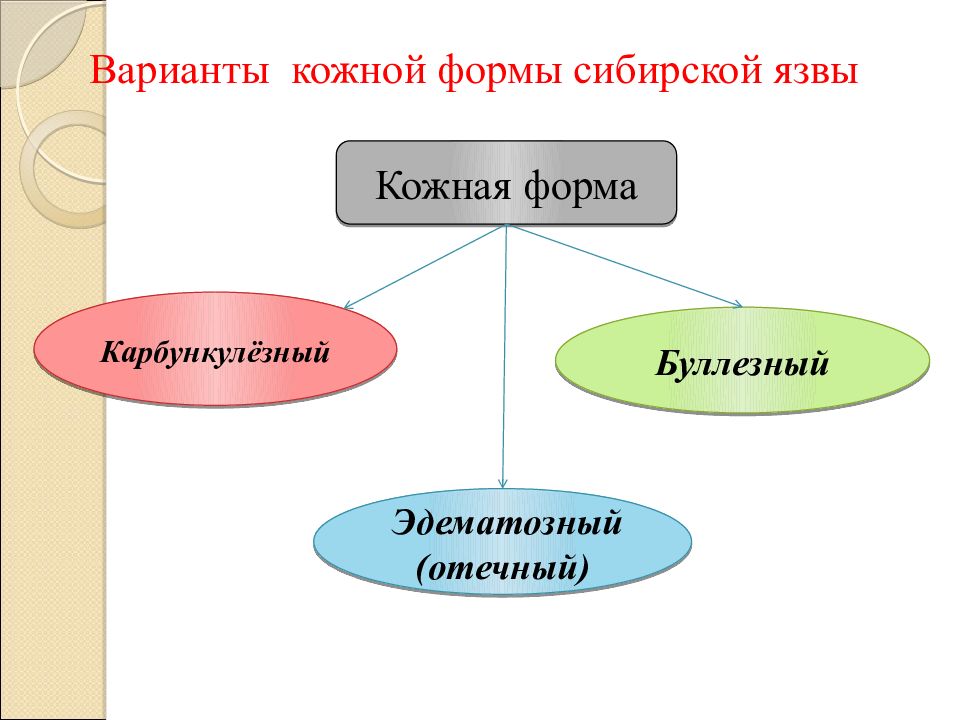 Сибирская форма. Эдематозная форма сибирской язвы. Варианты кожной формы сибирской язвы. Буллезная форма сибирской язвы. Сибирская язва кожная форма эдематозная.