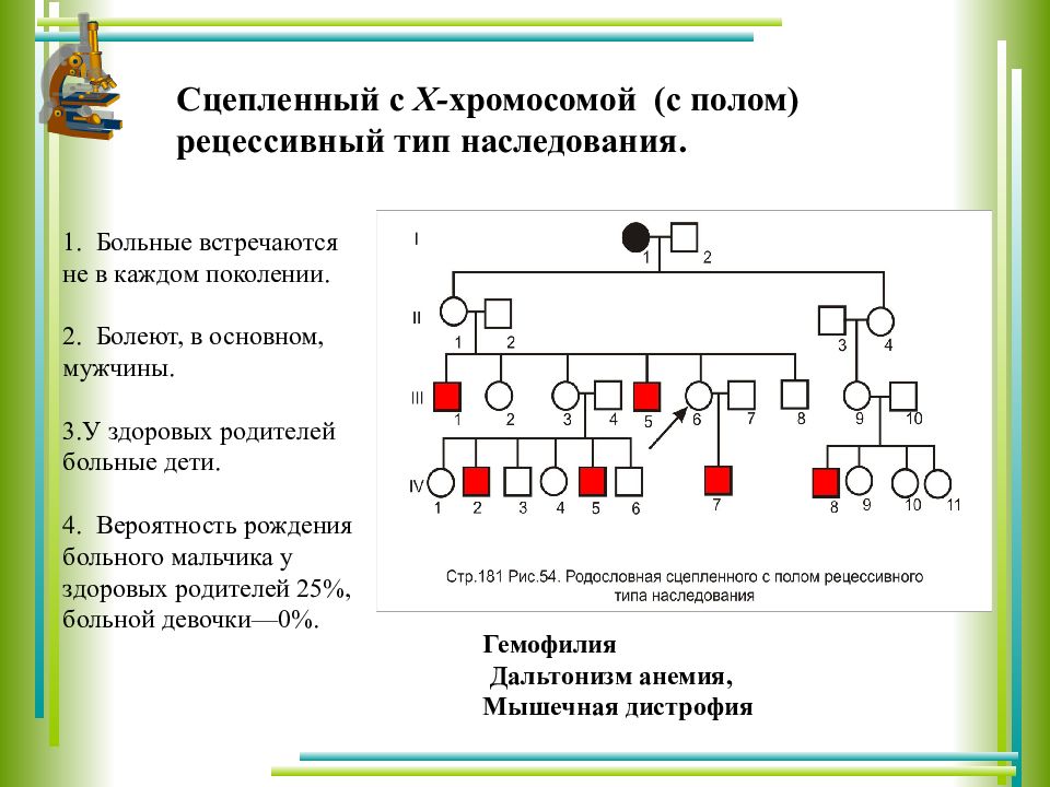 По схеме родословной определите тип наследования