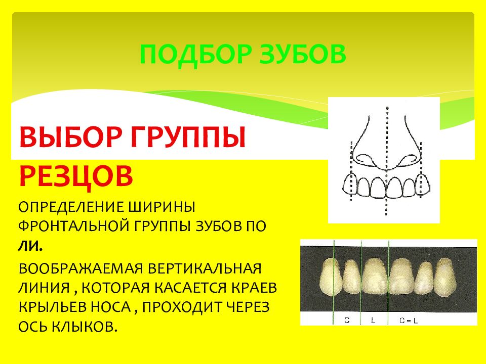 Интактный зуб это. Фронтальная группа зубов. Фронтальная группа зубов анатомия. Материалы для фронтальной группы зубов.