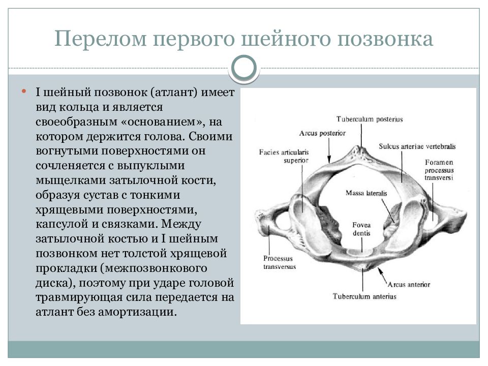 Переломы шейного отдела позвоночника презентация