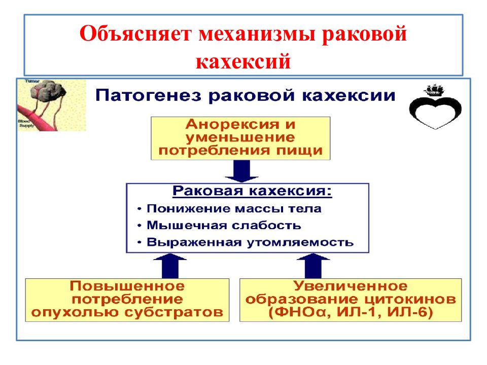 Нарушение жирового обмена патофизиология презентация