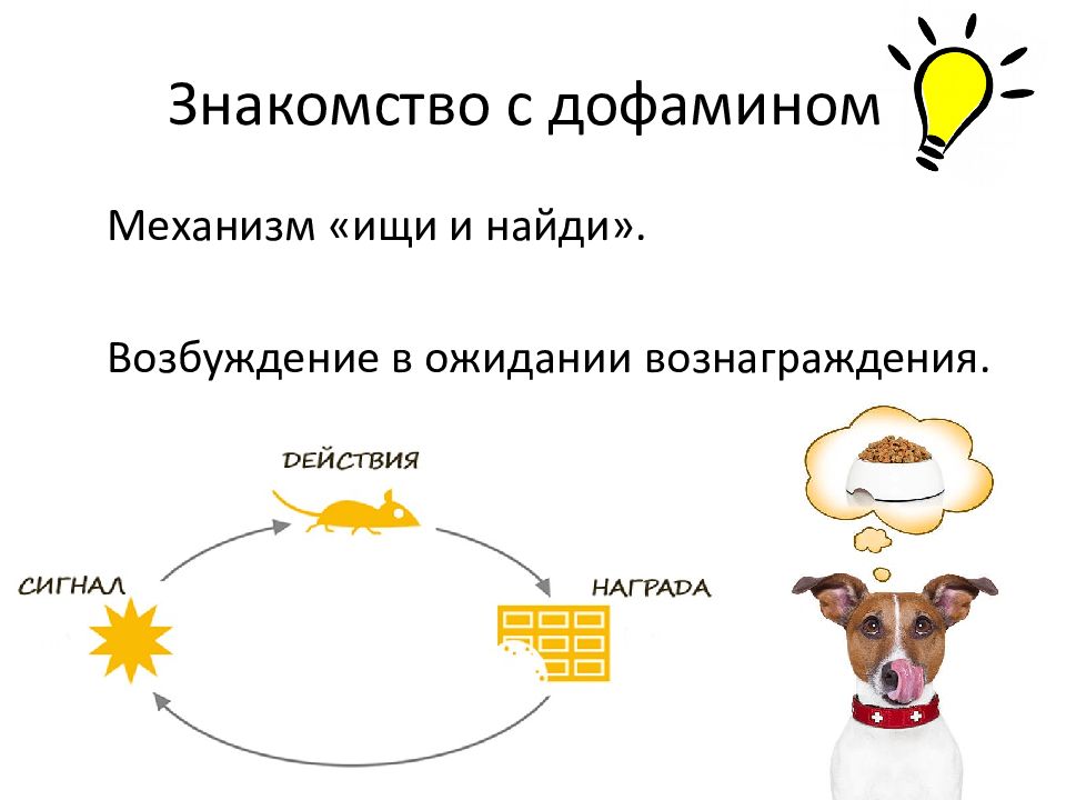 Гормоны счастья презентация