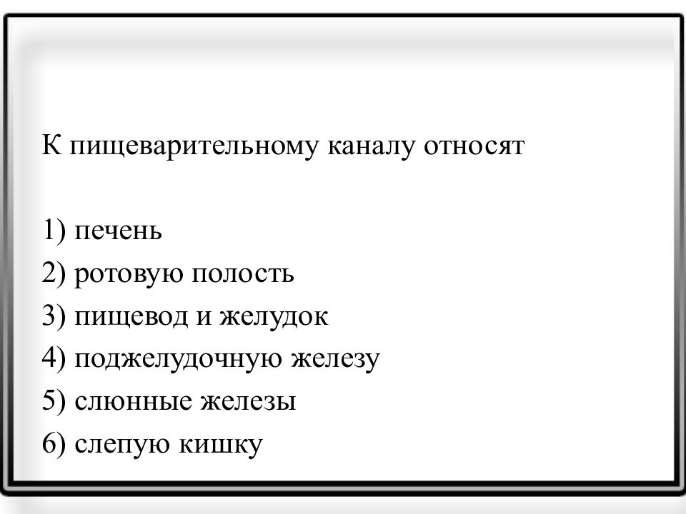 Слепую кишку относят к пищеварительному каналу