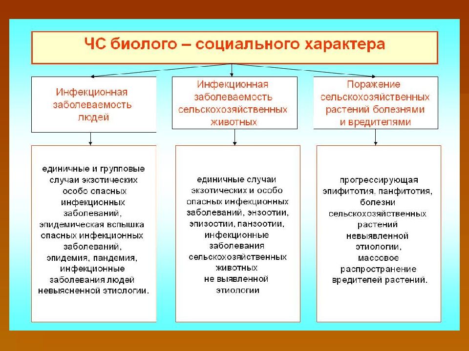 Социального характера относятся