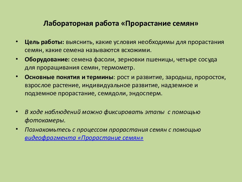 Лабораторная работа семя фасоли. Информация для пациентов лаборатории. Понятие медицинская норма. Перечислите лабораторные методы исследования. Характеристика лабораторных методов исследования.