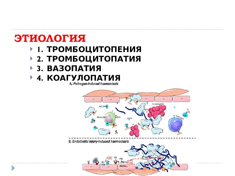 Патофизиология гемостаза презентация