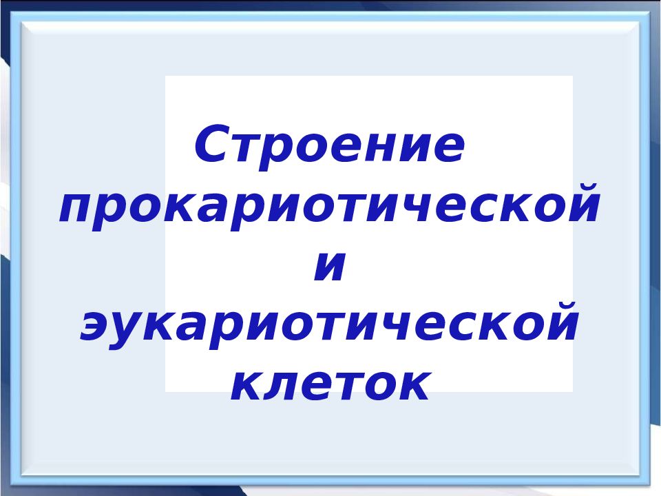 Строение прокариотической и эукариотической клеток