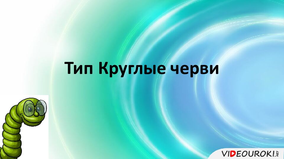Тип Круглые черви