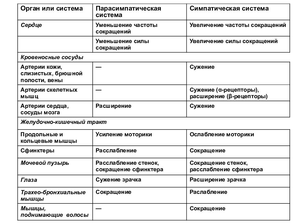 Симпатический отдел зрачок. Парасимпатическая система и симпатическая система. Сосуды сердца в симпатической нервной системе. Симпатическая и парасимпатическая нервная система таблица. Сердце частота сокращений симпатическая парасимпатическая.