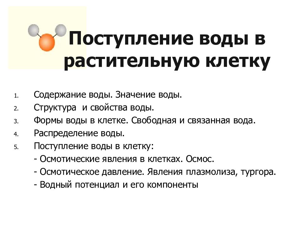 Поступление в клетку. Поступление воды в растительную клетку. Механизм поступления воды в растительную клетку. Способы поступления воды в клетку. Осмотический механизм поступления воды в клетку.