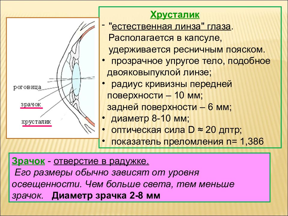 Радиус кривизны глаза