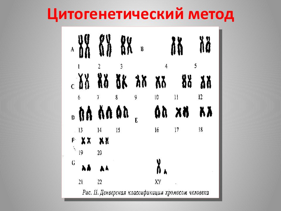 Цитогенетический метод устанавливает. Цитогенетический метод генетики человека. Цитогенетический метод генетика. Цитогенетический метод изучения. Цитогенетический метод в генетике человека.