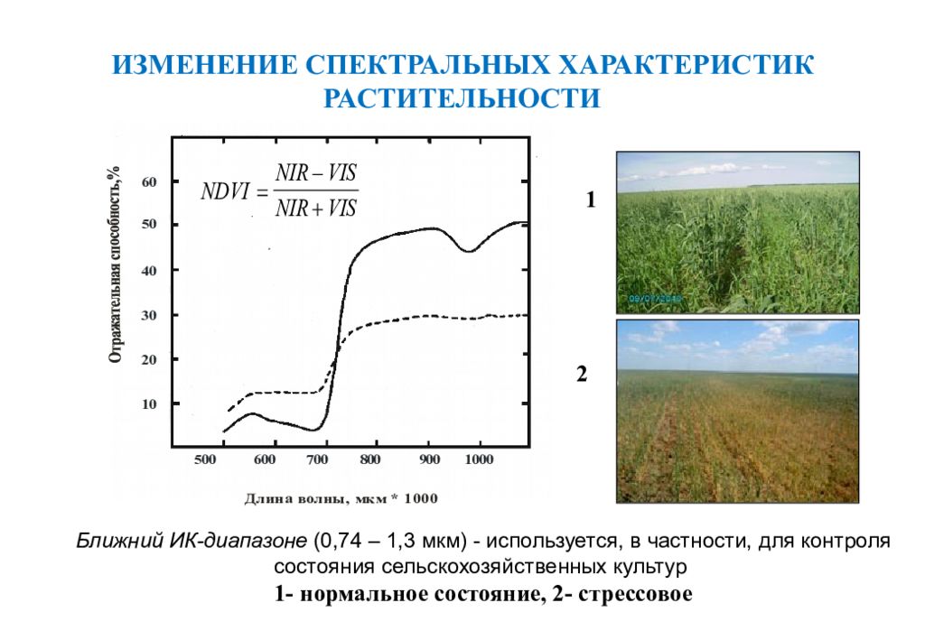 Распознавание состояний. Состояние растительности. Состояние растительного Покрова. Оценка состояния растительности.