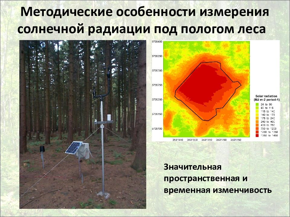 Увеличение солнечной радиации. Методы измерения солнечной радиации. Солнечная радиация. Влияние солнечной радиации на лес. Радиация в лесу.