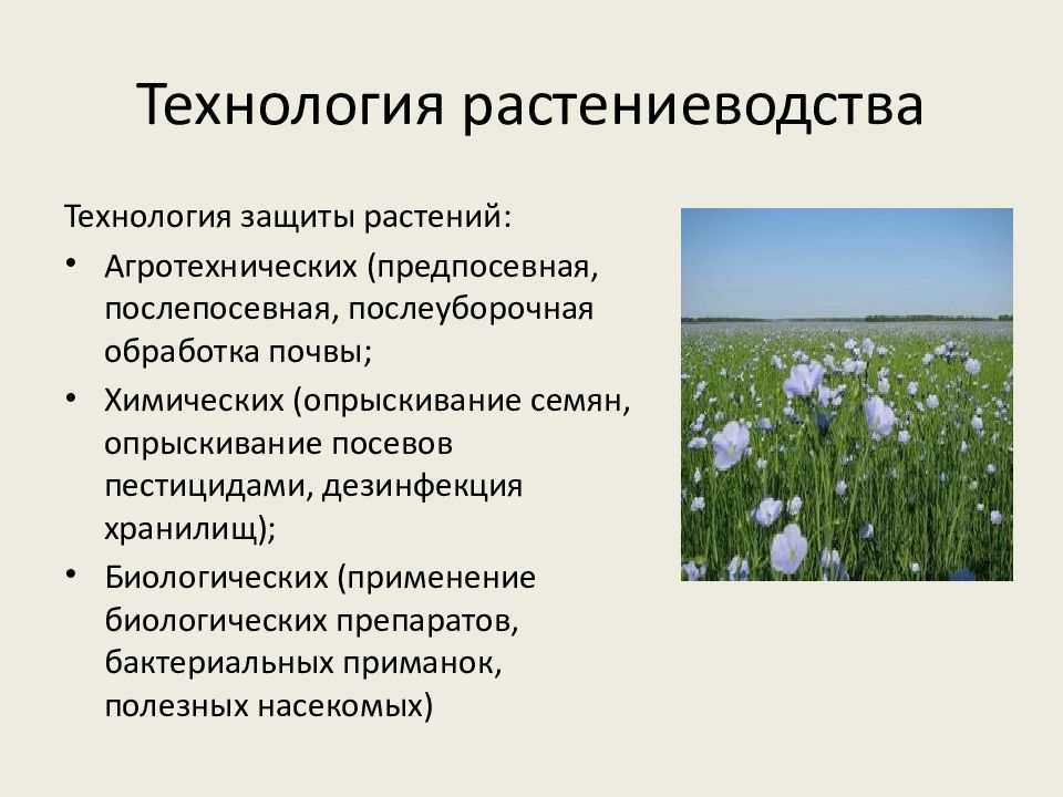 Технологии посева посадки и ухода за культурными растениями технология 6 класс презентация