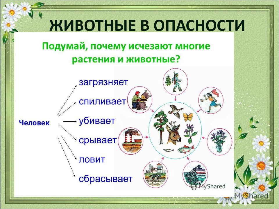 Презентация охрана животных 3 класс окружающий мир школа россии