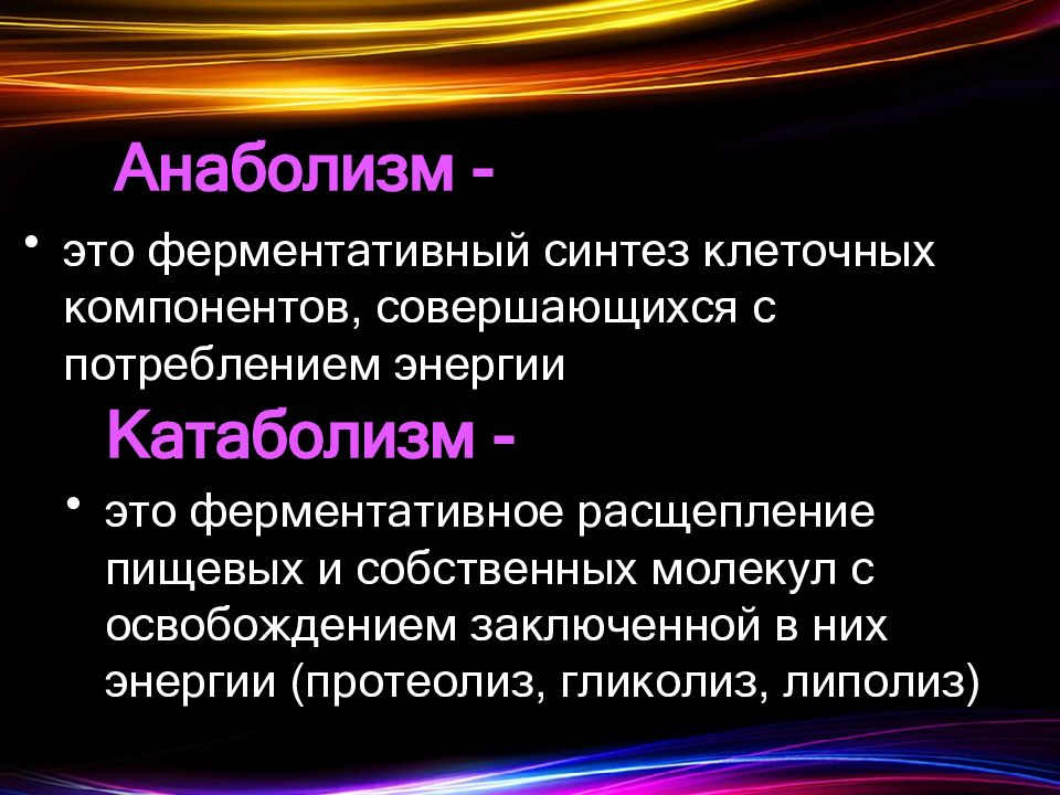 Анаболизм это. Анаболизм. Анаболизм это Синтез. Ферментативное расщепление веществ. Пищевой анаболизм.