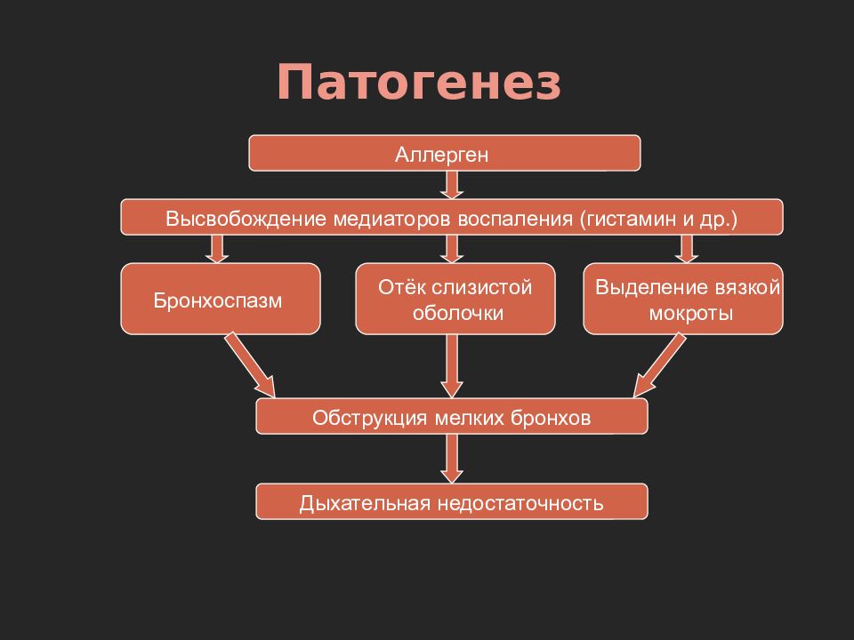 Бронхиальная астма патофизиология презентация