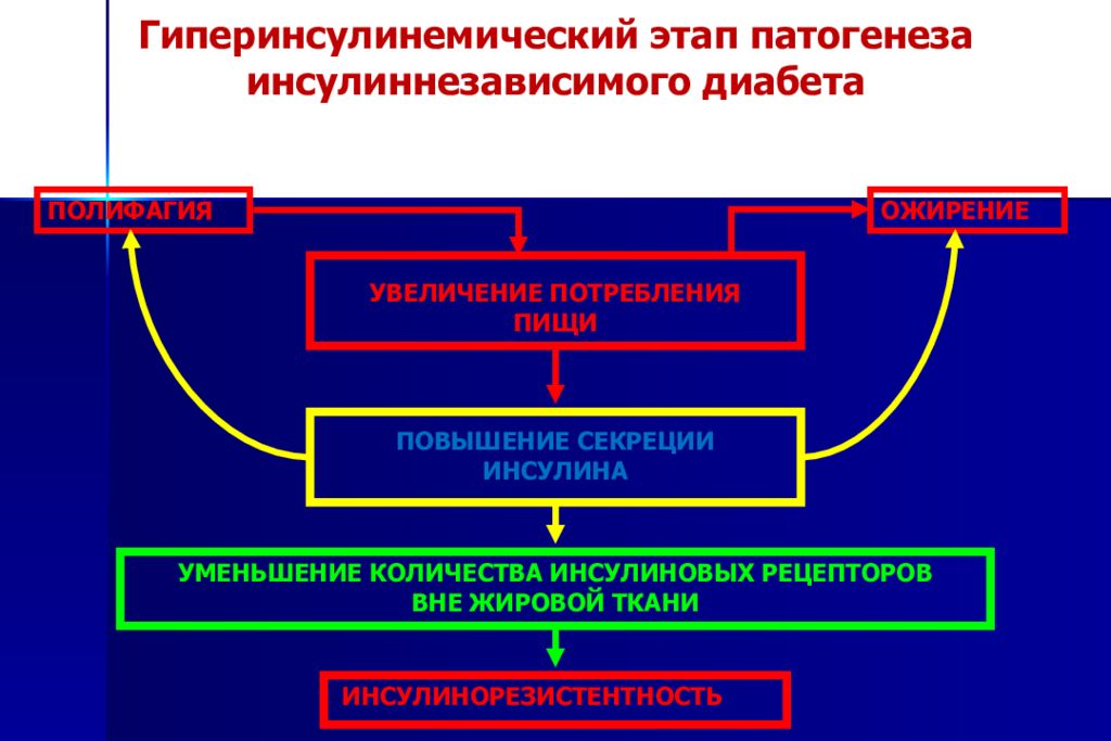 Сахарный обмен. Патогенез полифагии при сахарном диабете. Патогенез нарушения углеводного обмена. Патогенез сахарного диабета патофизиология. Патофизиология углеводного обмена сахарный диабет.