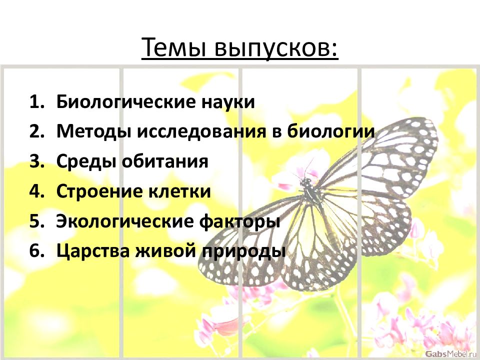 Презентация на тему снижение биологического разнообразия