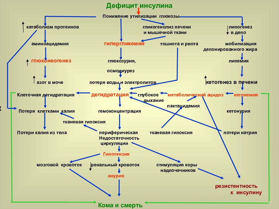 Сахарный диабет биохимия презентация