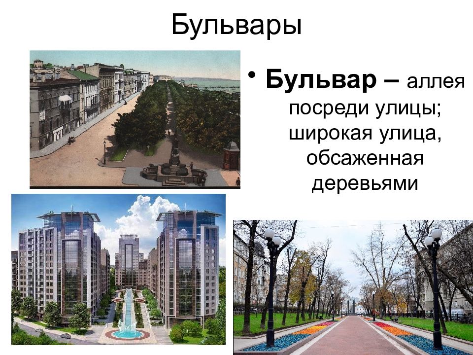 Отличие парка от сквера