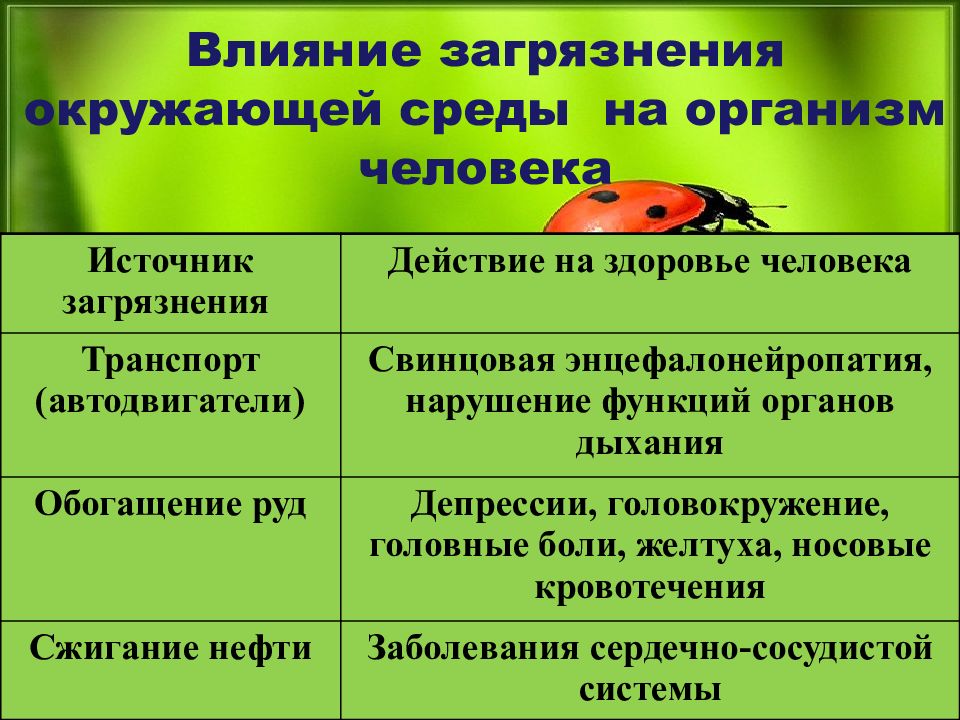 Экология и здоровье презентация