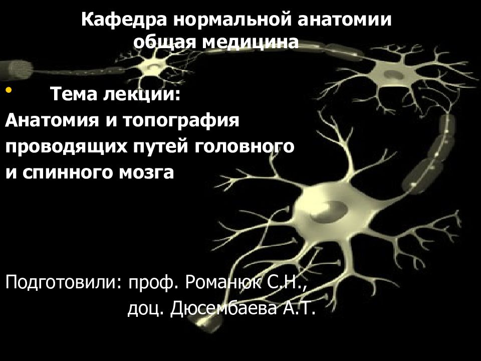 Кафедра топографической анатомии. Анатомия лекции презентация. Кафедра анатомии и топографической анатомии. Тема презентации медицина топографическая анатомия. Название лекций по анатомии.