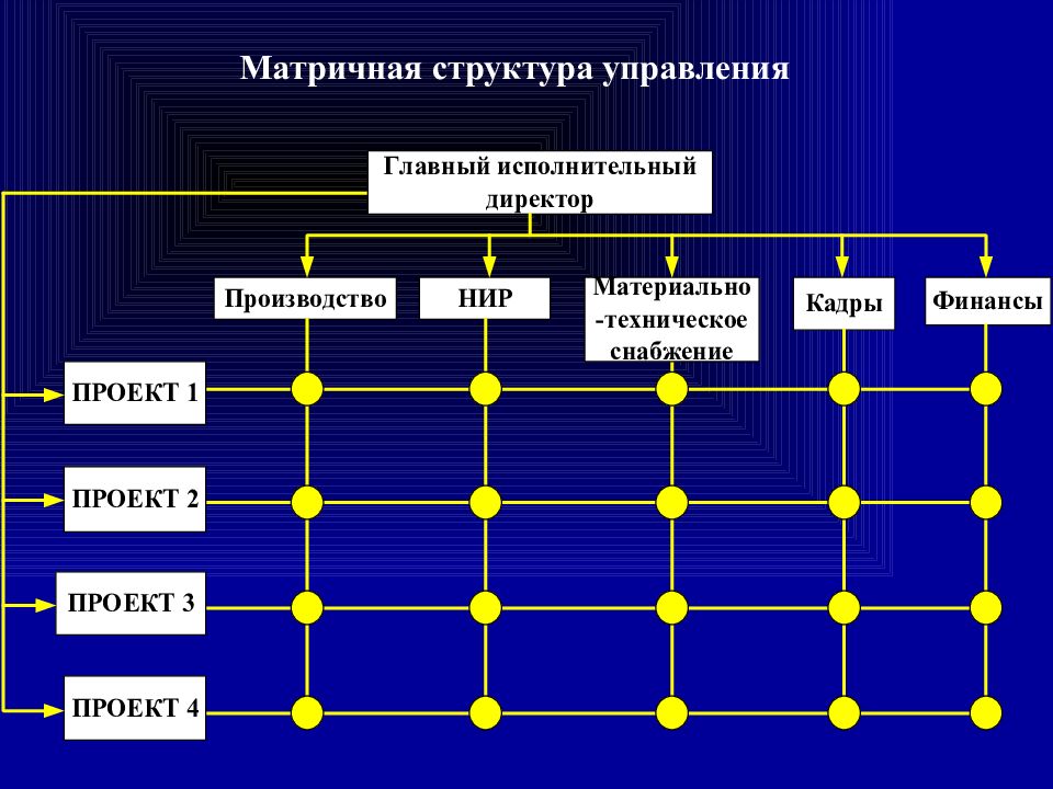 Функционально матричная структура