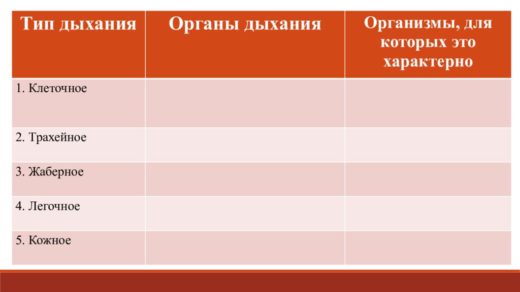 Виды дыхания схема. Животные тип тип дыхания. Трахейное дыхание у насекомых. Организмы для которых характерен трахейный тип дыхания. Трахейное дыхание.
