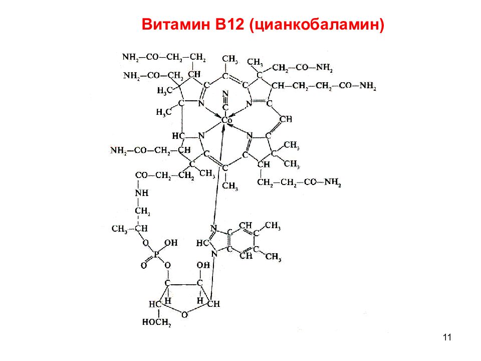 Химия 13. Формулы водорастворимых витаминов биохимия. Витамин в12 водорастворимый. Роль витамина b12 биохимия. Водорастворимые витамины формулы.