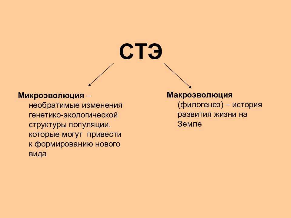 Синтетическая теория эволюции картинки