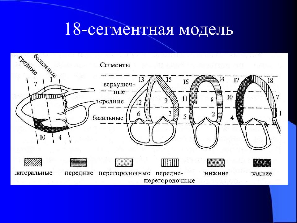 Узи сердца схема