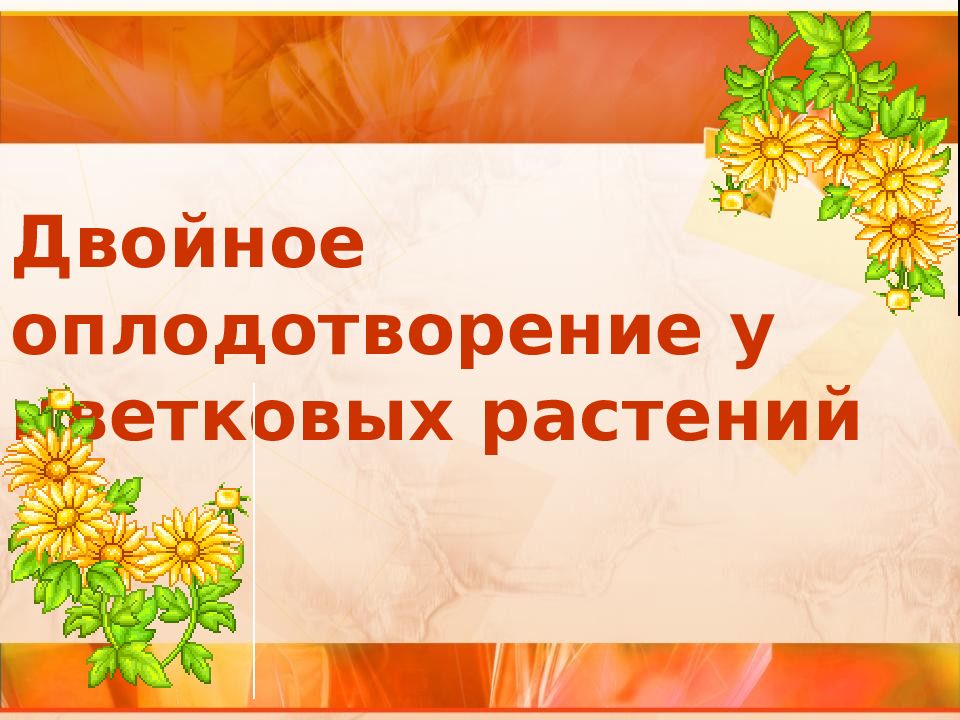 Двойное оплодотворение у цветковых растений