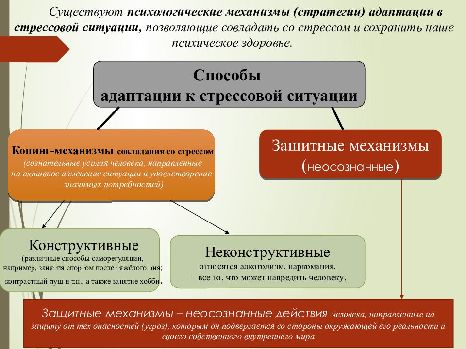 Способ адаптации к жизни неповторимая картина существования индивидуума