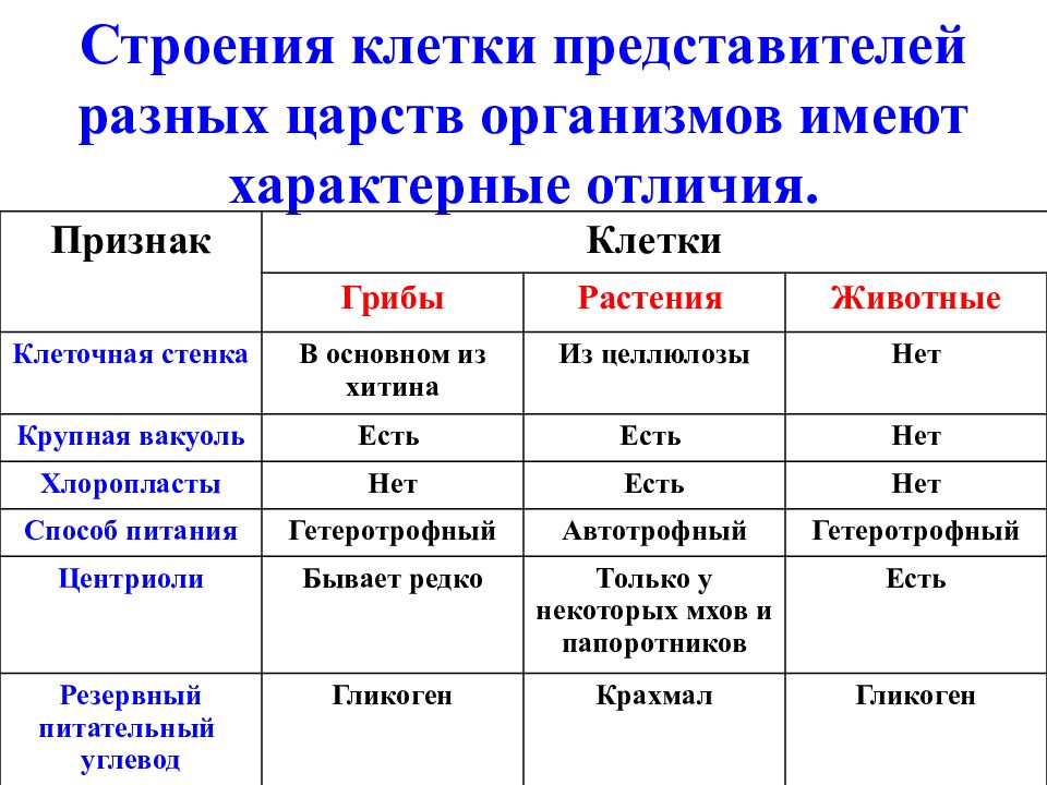 Сравнение растительной и животной клетки таблица