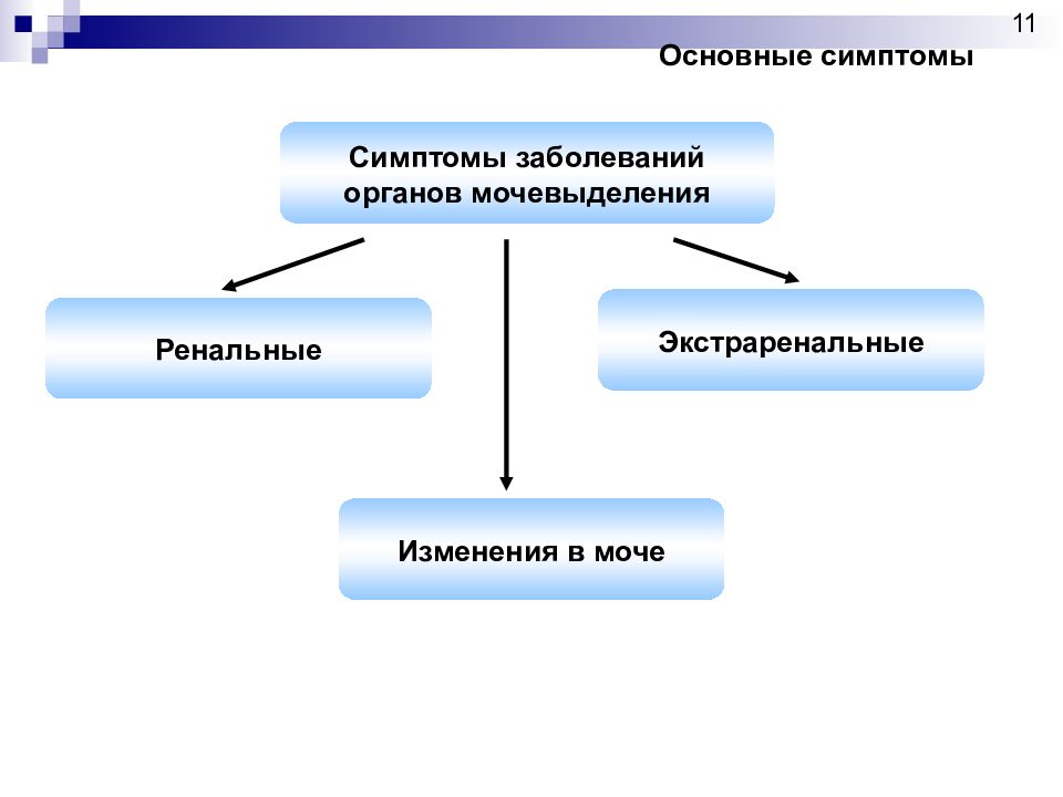 Путем выделения. Основные симптомы при заболеваниях органов мочевыделения. Экстраренальные пути выделения. Экстраренальные проявления заболевания органов мочевыделения. Экстраренальные проявления уремии.